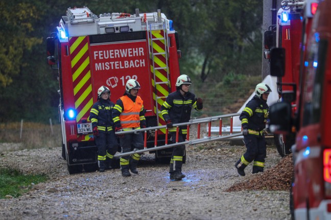 Feuerwehr mit Hhenrettern bei Personenrettung aus defektem Deckenkran in Buchkirchen im Einsatz