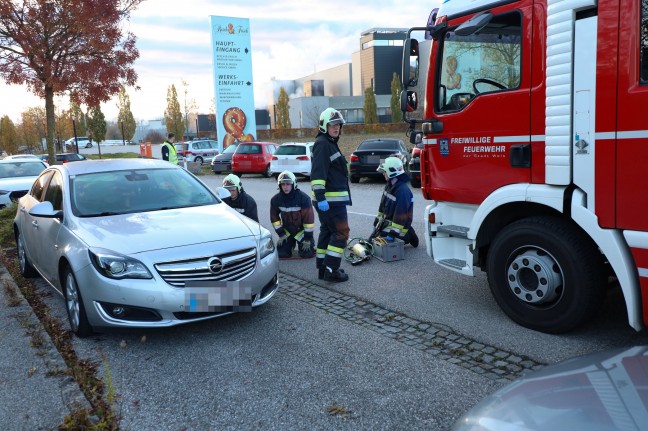 Junges Reh in Wels-Schafwiesen unter Auto eingeklemmt - Feuerwehr befreite Tier mittels Hebekissen