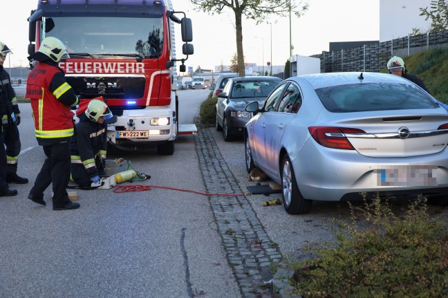 Junges Reh in Wels-Schafwiesen unter Auto eingeklemmt - Feuerwehr befreite Tier mittels Hebekissen