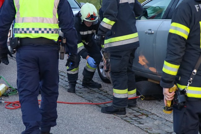 Junges Reh in Wels-Schafwiesen unter Auto eingeklemmt - Feuerwehr befreite Tier mittels Hebekissen