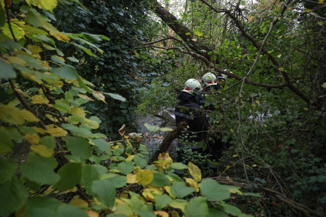 Verklausung im Schenkelbach in Wels-Pernau sorgte fr Einsatz der Feuerwehr