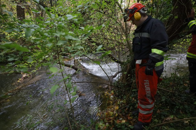 Verklausung im Schenkelbach in Wels-Pernau sorgte fr Einsatz der Feuerwehr