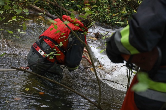 Verklausung im Schenkelbach in Wels-Pernau sorgte fr Einsatz der Feuerwehr