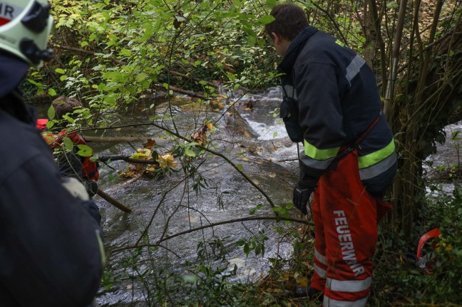 Verklausung im Schenkelbach in Wels-Pernau sorgte fr Einsatz der Feuerwehr