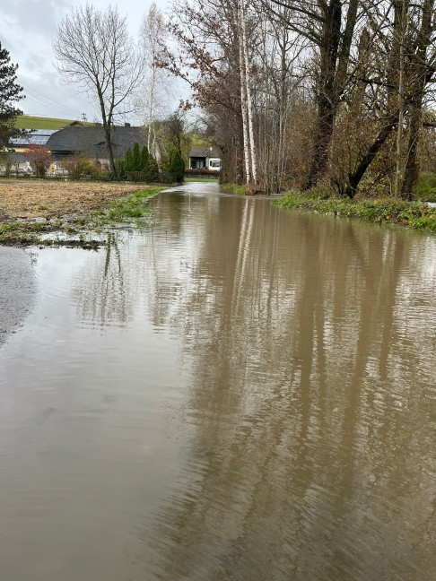 berflutungen: Innbach und Zubringer in Pichl bei Wels nach starkem Regen ber Ufer getreten