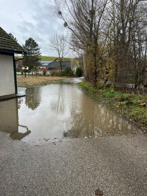 berflutungen: Innbach und Zubringer in Pichl bei Wels nach starkem Regen ber Ufer getreten