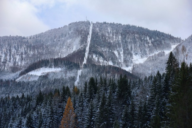 Schneefall erschwert Bergung: Untersuchungen nach Flugzeugabsturz mit vier Toten in Grnau im Almtal