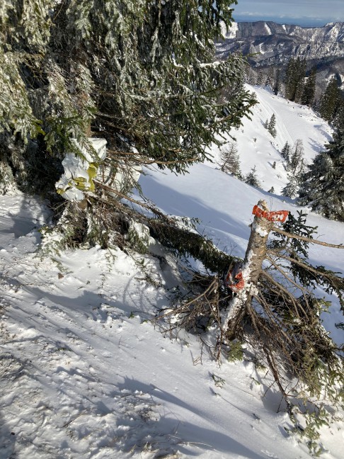 Flugzeugwrack nach Absturz mit vier Todesopfern vom Kasberg in Grnau im Almtal geborgen