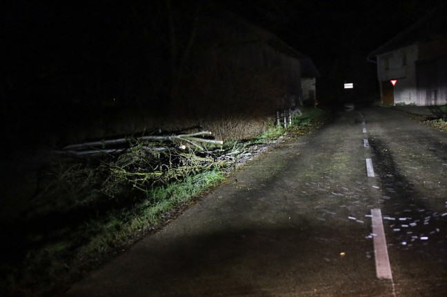 Umgestrzer Baum blockierte Strae in Neukirchen bei Lambach