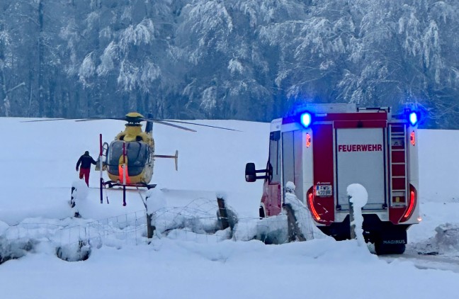 Tdlicher Forstunfall in Gilgenberg am Weilhart - Mann (33) unter Wurzelstock eingeklemmt