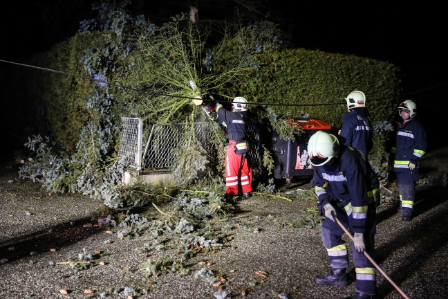 Sturmböen sorgen für Feuerwehreinsatz in Wels-Neustadt