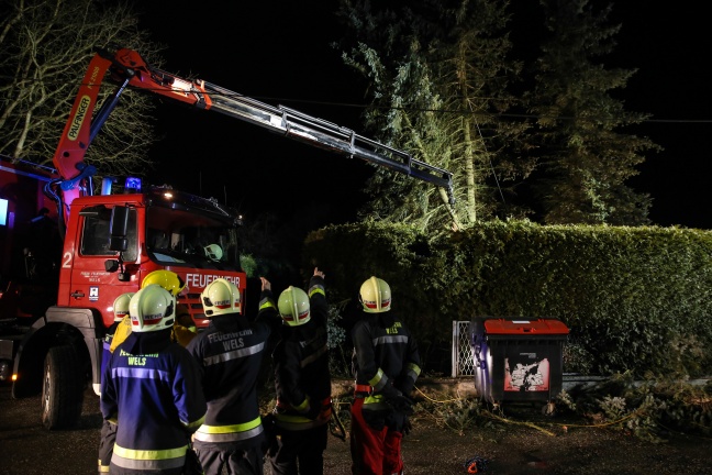 Kraneinsatz wegen missglückter Baumfällung nach Sturmschaden in Wels-Neustadt