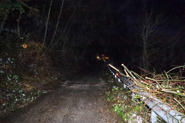 Einsatzkrfte zu Personenrettung nach Forstunfall in Hinzenbach alarmiert