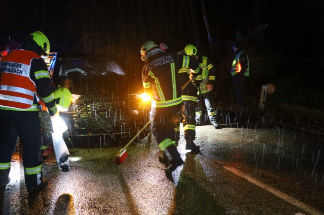 Auto in einem Waldstck in Thalheim bei Wels mit umgestrztem Baum kollidiert