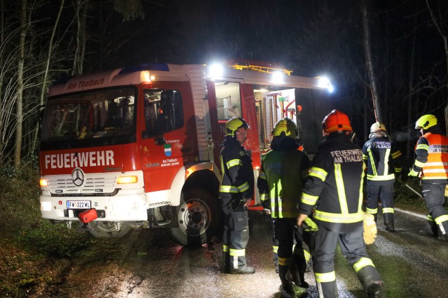 Auto in einem Waldstck in Thalheim bei Wels mit umgestrztem Baum kollidiert