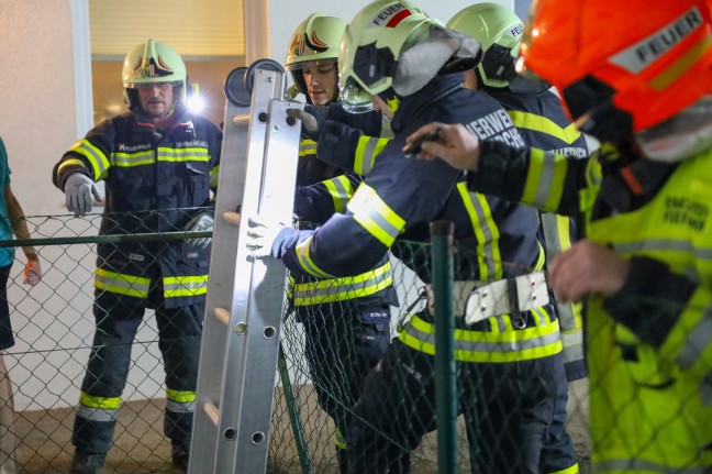 Igel in Laakirchen durch Einsatzkrfte der Feuerwehr aus Lichtschacht einer Wohnanlage gerettet