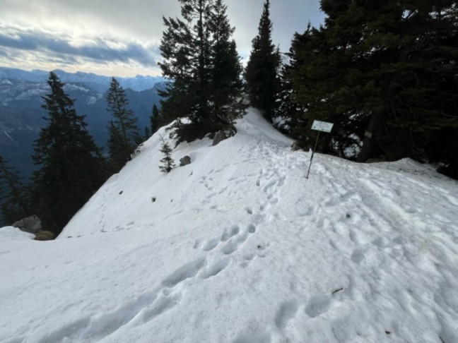 Tdlicher Alpinunfall: Bergsteiger (33) am Traunstein in Gmunden mehrere hundert Meter abgestrzt