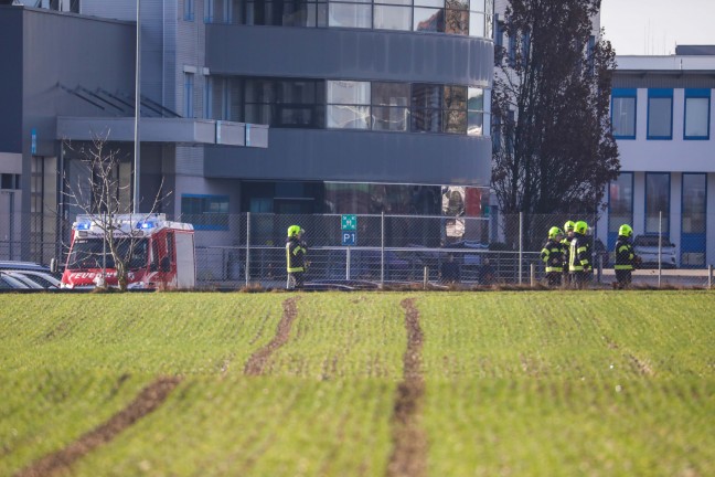 Vergeblicher Rettungsversuch fr eingeklemmtes Reh in Marchtrenk