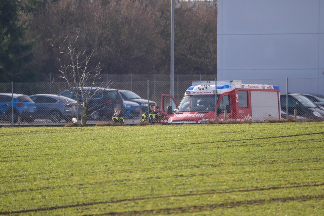 Vergeblicher Rettungsversuch fr eingeklemmtes Reh in Marchtrenk