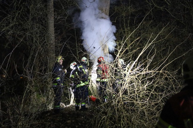 Brand eines hohlen Baumes in Wels-Vogelweide sorgt fr Einsatz der Feuerwehr