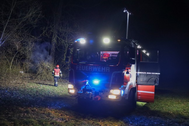 Brand eines hohlen Baumes in Wels-Vogelweide sorgt fr Einsatz der Feuerwehr