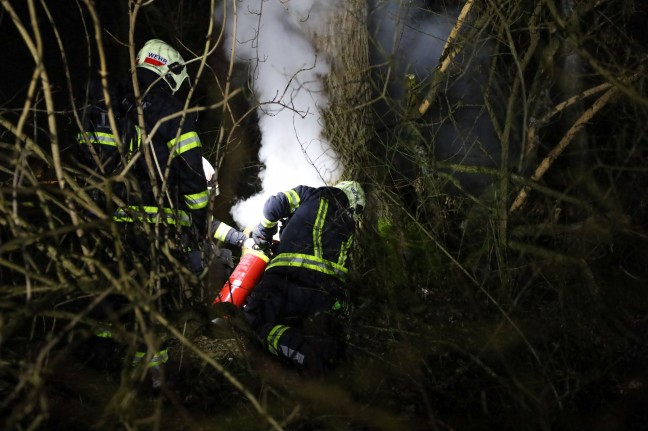 Brand eines hohlen Baumes in Wels-Vogelweide sorgt fr Einsatz der Feuerwehr