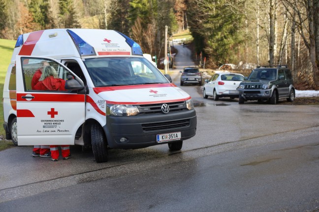 Auto in Brckengelnder ber den Dambach zwischen Edlbach und Rosenau am Hengstpa gekracht