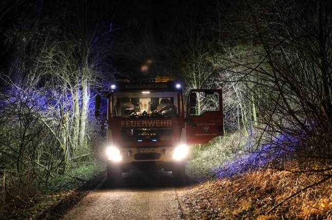 Feuerwehr bei Brand eines Wiedhaufens an der Traun in Marchtrenk im Einsatz