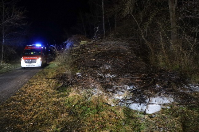 Feuerwehr bei Brand eines Wiedhaufens an der Traun in Marchtrenk im Einsatz