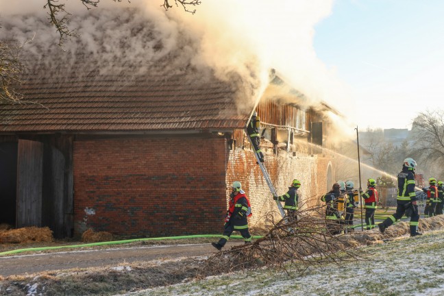 Groeinsatz fr elf Feuerwehren bei Brand auf einem Bauernhof in Schllberg