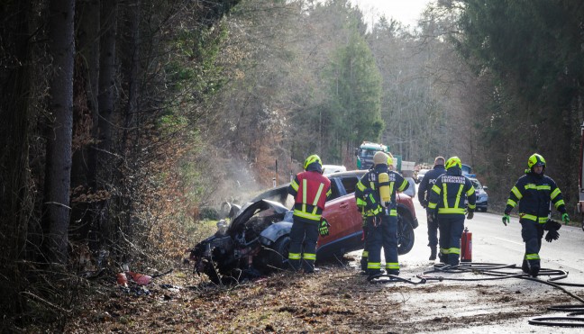 Auto bei berackern gegen Baum gekracht und in Flammen aufgegangen