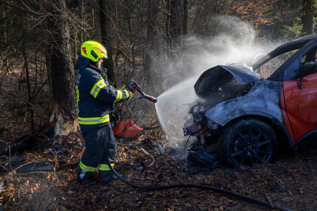 Auto bei berackern gegen Baum gekracht und in Flammen aufgegangen