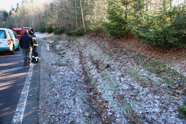 PKW bei Verkehrsunfall auf der Prager Strae in Hagenberg im Mhlkreis von der Fahrbahn abgekommen