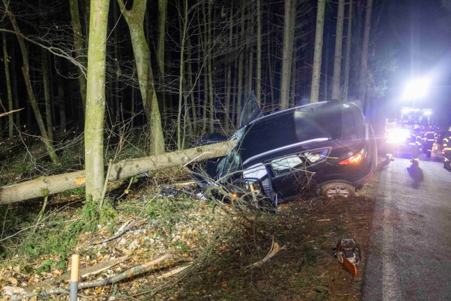 Auto bei schwerem Verkehrsunfall bei Senftenbach von Baum regelrecht aufgespiet