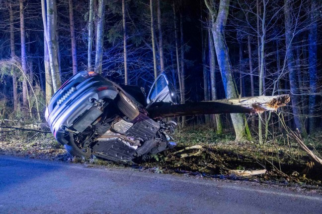 Auto bei schwerem Verkehrsunfall bei Senftenbach von Baum regelrecht aufgespiet