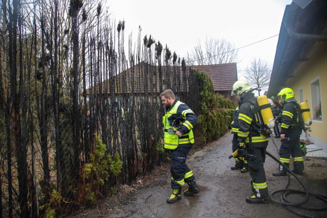 Gemeldeter Dachstuhlbrand in Oftering stellte sich als Heckenbrand heraus