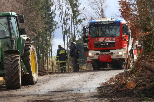 Tdlicher Baggerabsturz bei Forstarbeiten in einem Waldstck in Niederthalheim