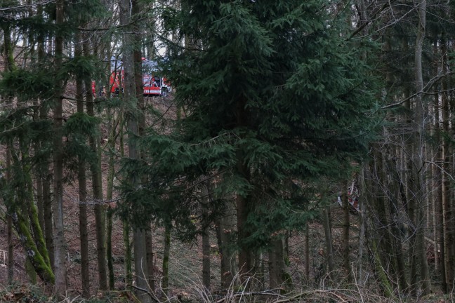 Tdlicher Baggerabsturz bei Forstarbeiten in einem Waldstck in Niederthalheim