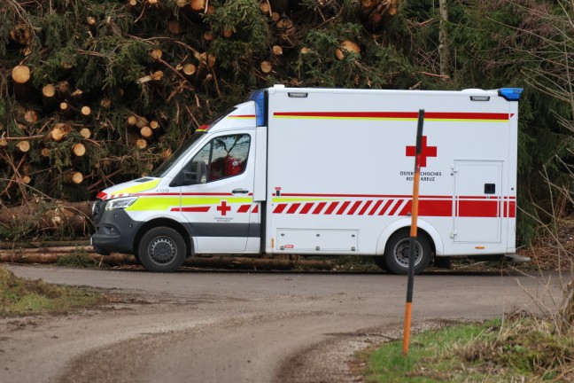 Tdlicher Baggerabsturz bei Forstarbeiten in einem Waldstck in Niederthalheim