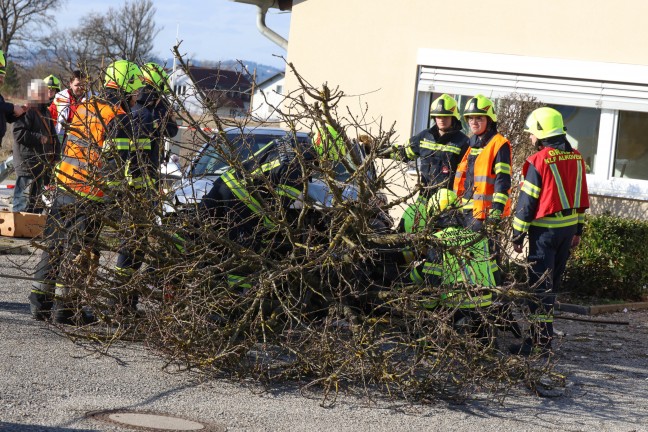 Auto bei Unfall in Alkoven gerade ber "T-Kreuzung" gegen Baum, Hauswand und Gartenzaun gefahren