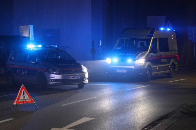 Auto in Wels-Pernau in ein parkendes Fahrzeug gekracht