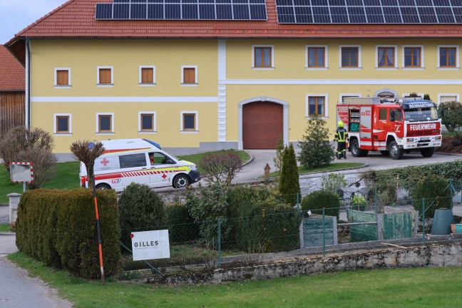 Bagger umgestrzt: Einsatz dreier Feuerwehren bei Personenrettung in Steinerkirchen an der Traun