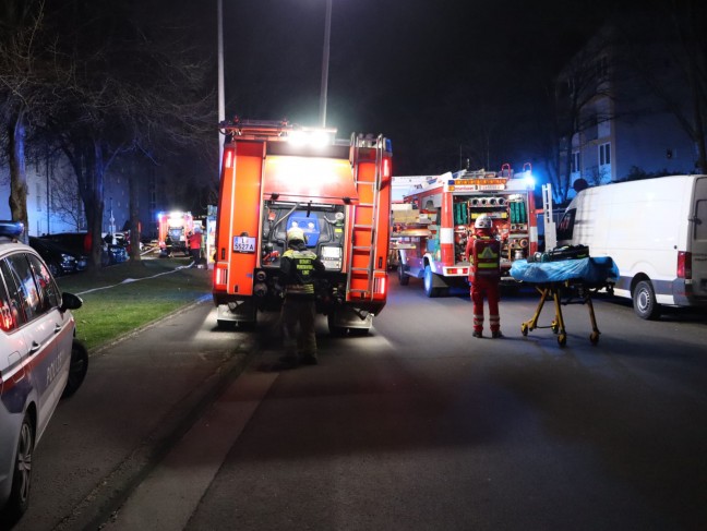 Brand zweier Mllinseln im Bereich einer Wohnanlagendurchfahrt in Linz-Kleinmnchen-Auwiesen