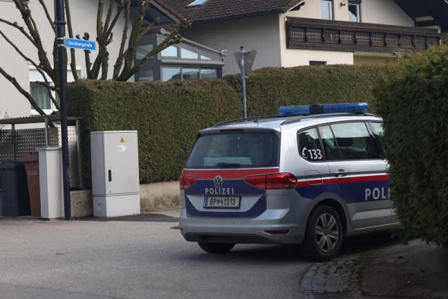 Einsatzkrfte befreiten in Steinhaus leblose Person aus Auto in einer Hauseinfahrt