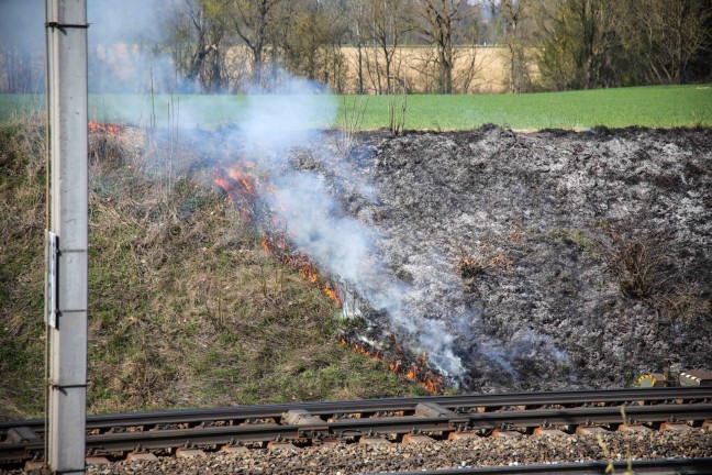 Brand im Bereich der Bahnbschung in Marchtrenk sorgte fr Einsatz zweier Feuerwehren