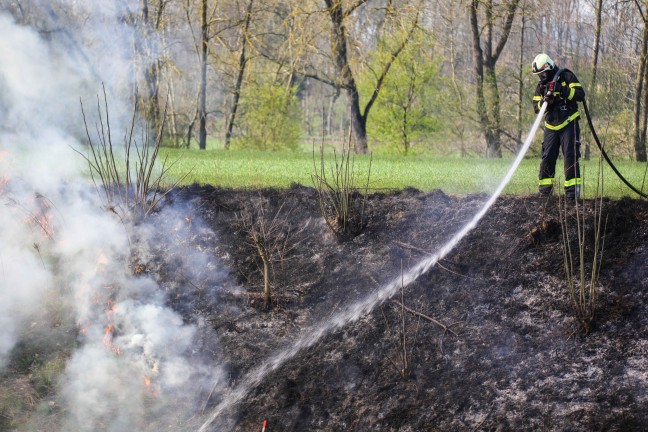 Brand im Bereich der Bahnbschung in Marchtrenk sorgte fr Einsatz zweier Feuerwehren