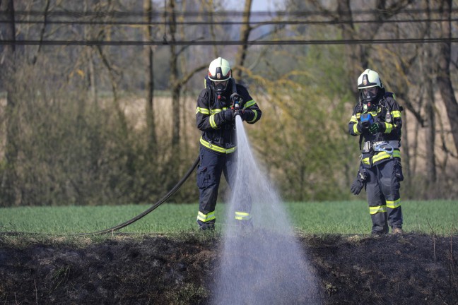 Brand im Bereich der Bahnbschung in Marchtrenk sorgte fr Einsatz zweier Feuerwehren