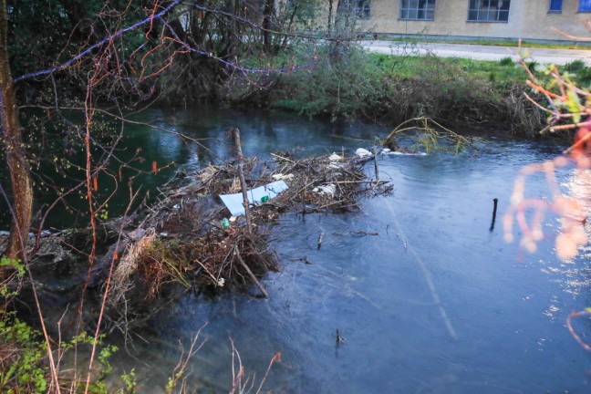 Feuerwehr fischte in Marchtrenk groen Ast und viel Mll aus dem Moserbach