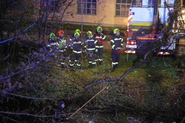 Feuerwehr fischte in Marchtrenk groen Ast und viel Mll aus dem Moserbach