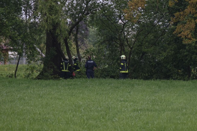 Lscheinsatz mit Motorsge: Neuerlicher Brand eines Baumstumpfes in Wels-Vogelweide